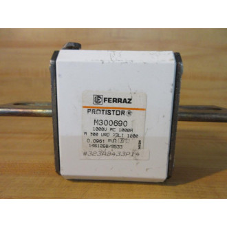 Gould Shawmut Ferraz M300690 Mersen Fuse A100URD73LI100 - Used