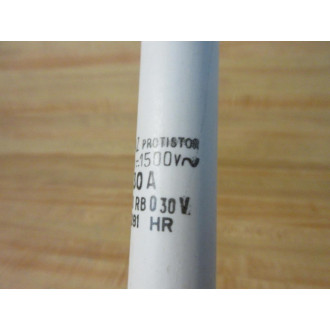 Gould Shawmut Ferraz J86281 Mersen Fuse D100RB030V - New No Box