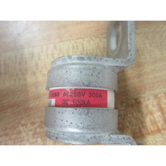 Fuji Electric CR2L-300 Super Rapid Fuse CR2L300 - Used