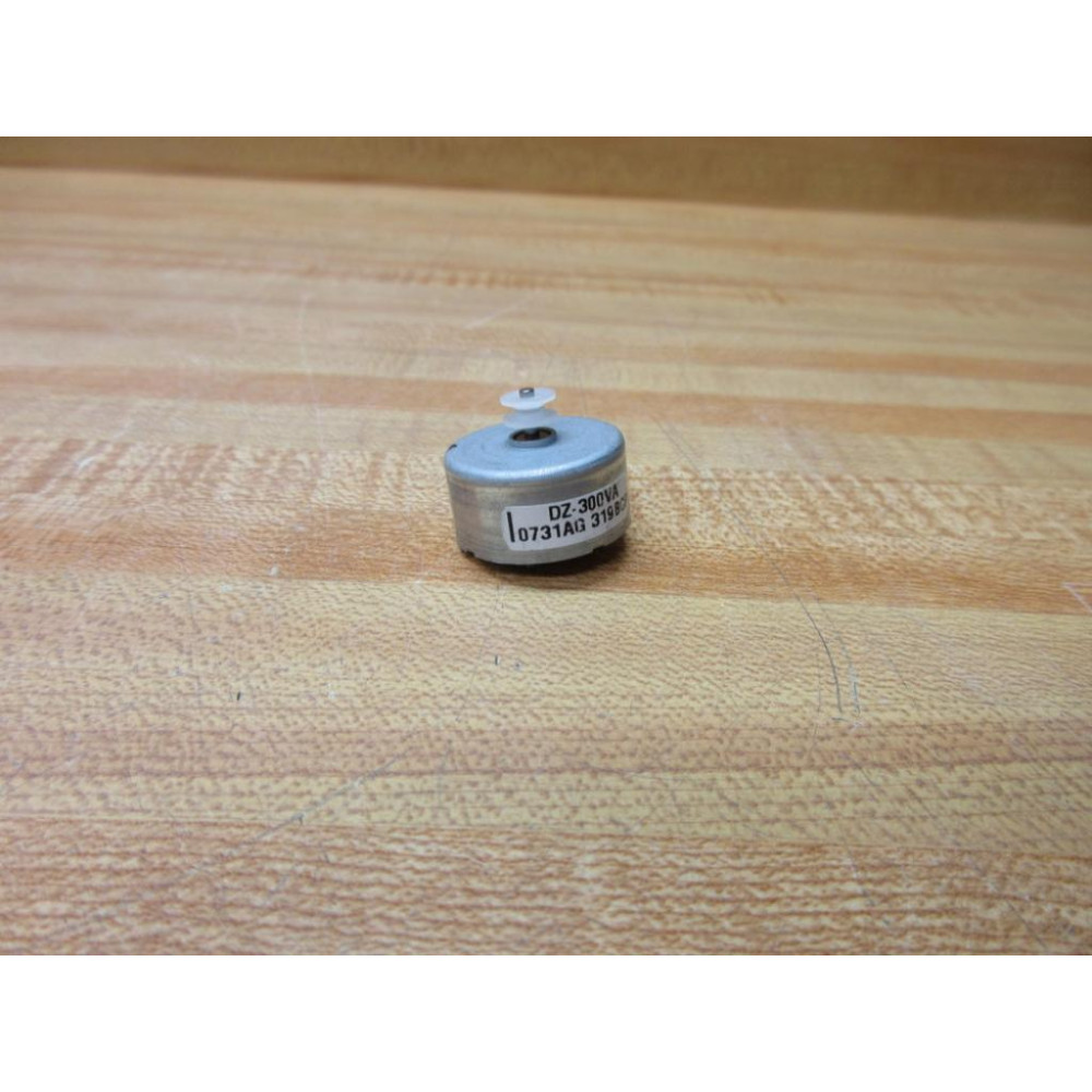 0731AG-319BCP DC Motor DZ-300VA Tested - Used