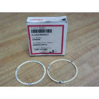 Flowserve MJ3G2360AE3 1DMC 340 Gasket (Pack of 2)