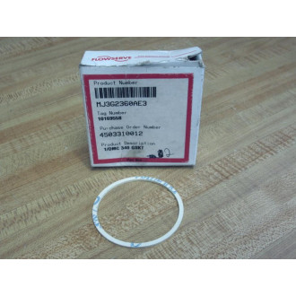Flowserve MJ3G2360AE3 1DMC 340 Gasket (Pack of 2)