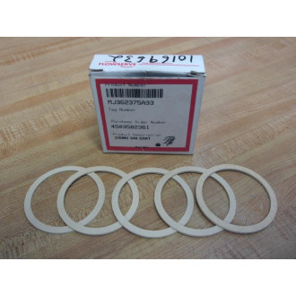 Flowserve MJ3G2375A33 2DMC 340 Gasket (Pack of 5)