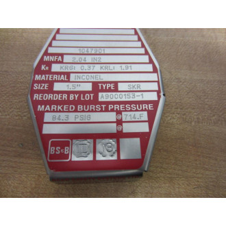 BS & B Safety Systems SKR Rupture Disk A9000153-1