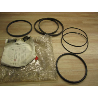 Hanna E-600 Piston Packing Kit 706-00047-065
