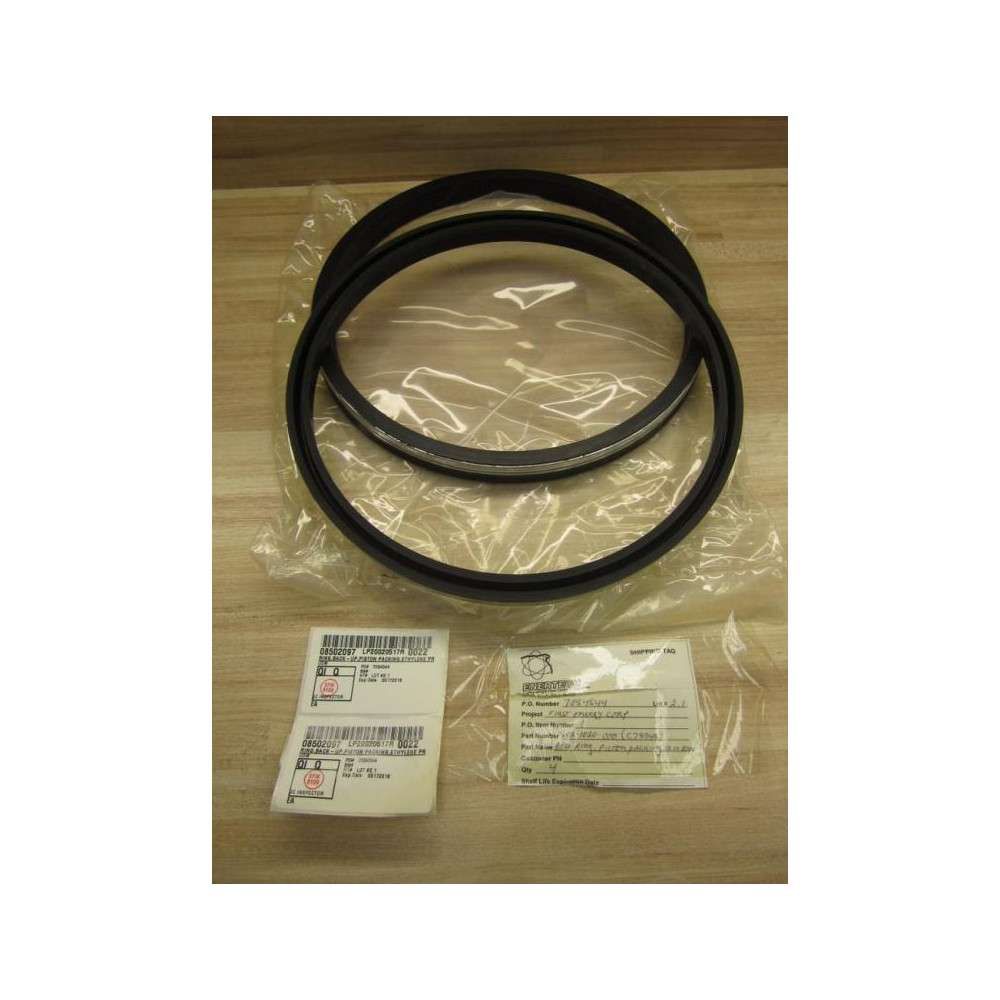 Enertech 302-1020-000 Piston Packing Ring 3021020000 (Pack of 2)