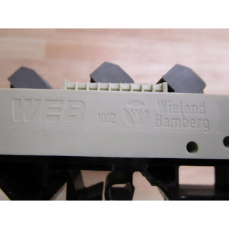 Wieland Bamberg 410021P1 OIT BoardModule Interface - Used