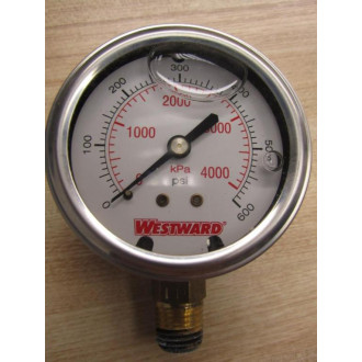 Westward 5WZ75 0-600 PSI Gauge