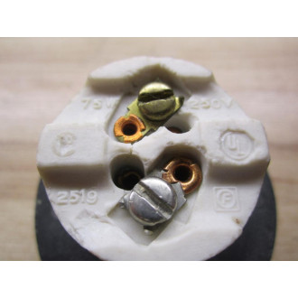 Pyle National 2519 Lamp Socket - New No Box