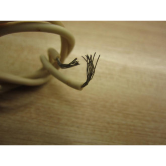 22852-116A6 Coil - New No Box