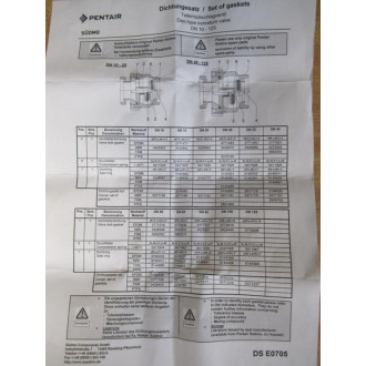 Pentair DS E0705 Set Of Gaskets WSpring DSR0705