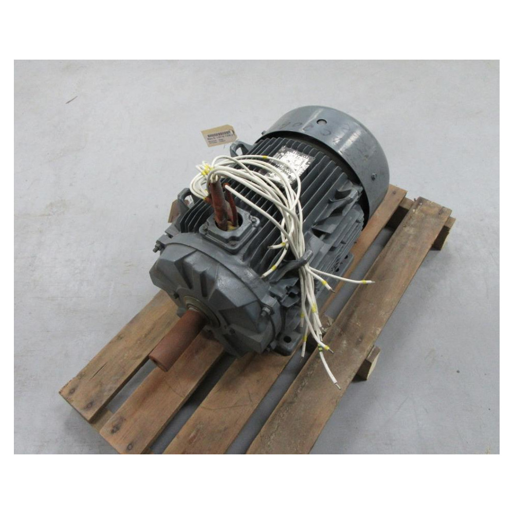 Moteur LS 160 LU Motor LS160LU HP 3 RPM 1755 - New No Box