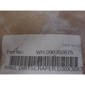 Merkel 40422434 Wiper 30x38x7 WH.090350675 (Pack of 2)