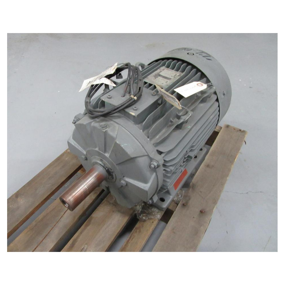 Moteur LS 160 LB-4 Motor M080.2746.19 30HP Job 96-3-43 - Refurbished