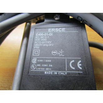 ERSCE E400-01-GI Limit Switch E40001GI - Used