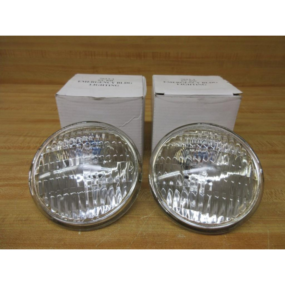 NLI 7613-1 Emergency Building Light 76131 (Pack of 2)