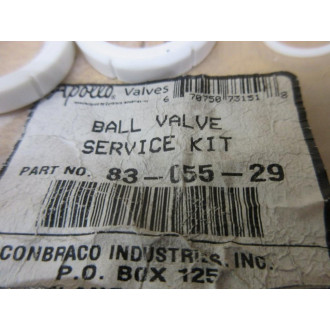 Apollo Valves 83-055-29 Ball Valve Service Kit 8305529