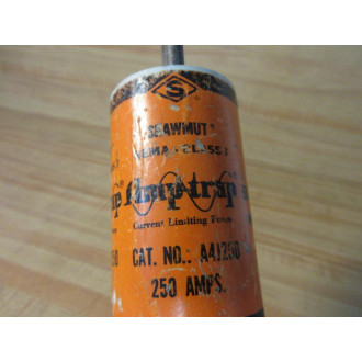 Gould Shawmut Ferraz Amp-Trap A4J250 Fuse - Used