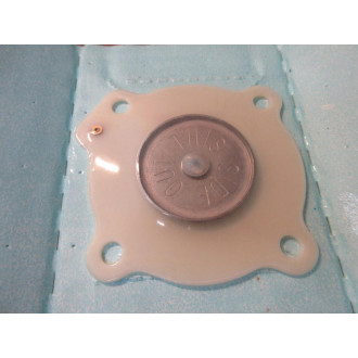 Asco 200262 Red Hat Diaphragm Assembly