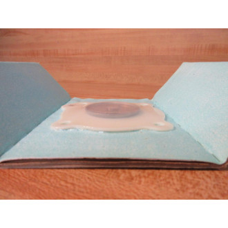 Asco 200262 Red Hat Diaphragm Assembly