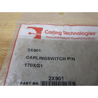 Carling Technologies 2X901 CarlingSwitch Push Button Switch 170XG1
