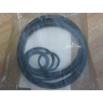 A2SK-08 4" Seal Kit A2SK08