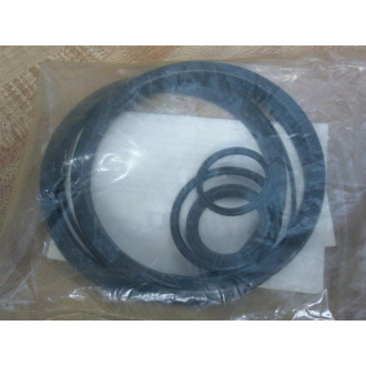 A2SK-08 4" Seal Kit A2SK08