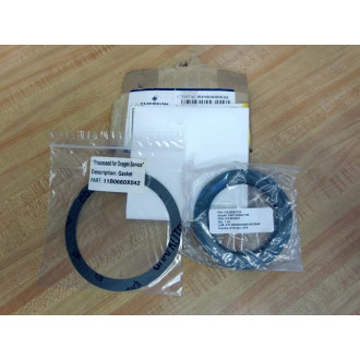 Emerson Fisher RV150X00C22 Valve Repair Seal Kit