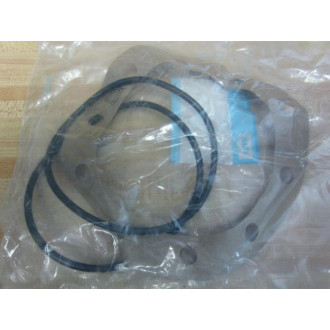 Falk 1025 G 10 Seal Kit 1025G10