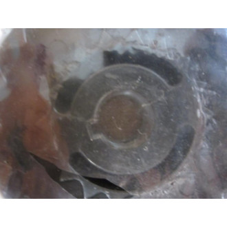 Lovejoy 68514436051 J Type Flange WKW