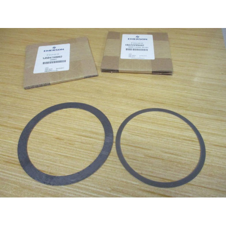 Fisher RGASKETX212 Emerson Gasket Set