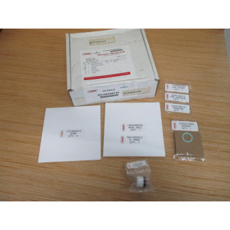 Fisher RV100X00C32 Emerson Repair Kit
