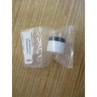 Fisher RV100X00C32 Emerson Repair Kit