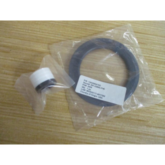 Fisher RV100X00C42 Emerson Valve Repair Kit