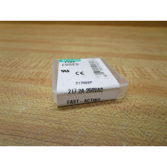 Littelfuse 217002P Fuse Cross Ref 6F101 Jagged Wire Element (Pack of 5)