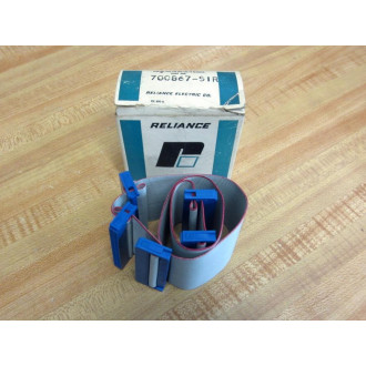 Reliance 700867-9IR Ribbon Cable 700867-91R