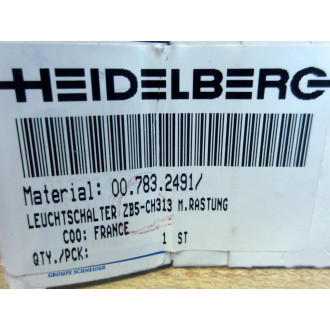 Heidelberg ZB5-CH313 Illuminated Push Button Head