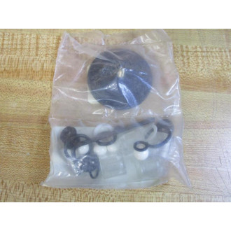 Walchem X31VC-PK Repair Kit 62664