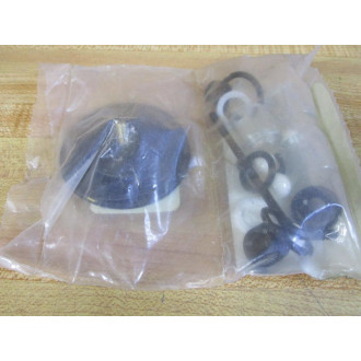 Walchem X31VC-PK Repair Kit 62664