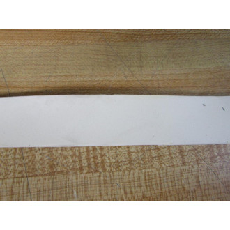 BDI 121216G1 Foam Strip 50470413 (Pack of 10) - New No Box