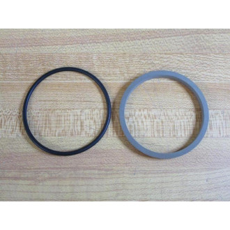 Busak + Shamban WEZH120536T46N Seal Kit 5445728 (Pack of 2)
