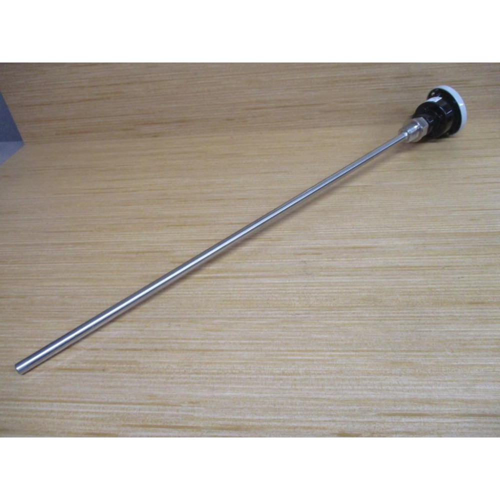 INOR 66RNS1011251213 Temperature Sensor PT100 - New No Box