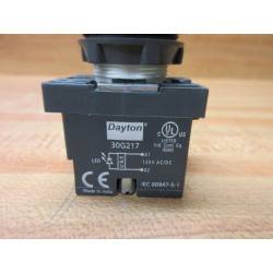 Dayton 30G217 Pilot Light
