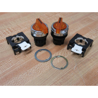 Cutler Hammer E22WF9 Eaton 2-Pos Lever Selector Switch (Pack of 2)