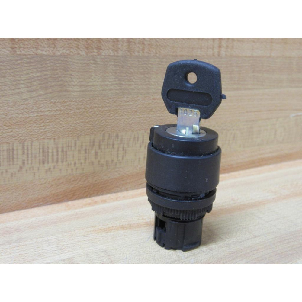 Allen Bradley 800EP-KM2R1 2-Pos Keyed Selector Switch 800EPKM2R1 - New No Box