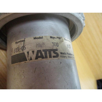 Watts 603-06-M4 Fluidair Pneumatic Filter 603-06 - New No Box