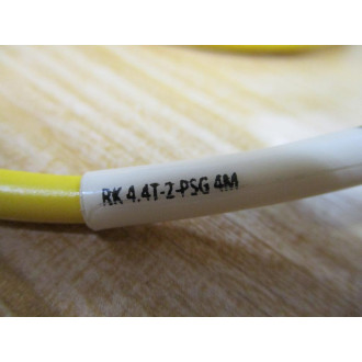 Turck RK4.4T-2-PSG 4M Cordset U0875-88 - New No Box