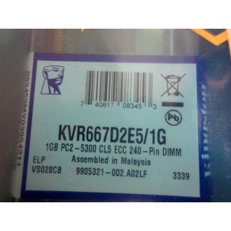 Kingston KVR667D2E51G Memory Module