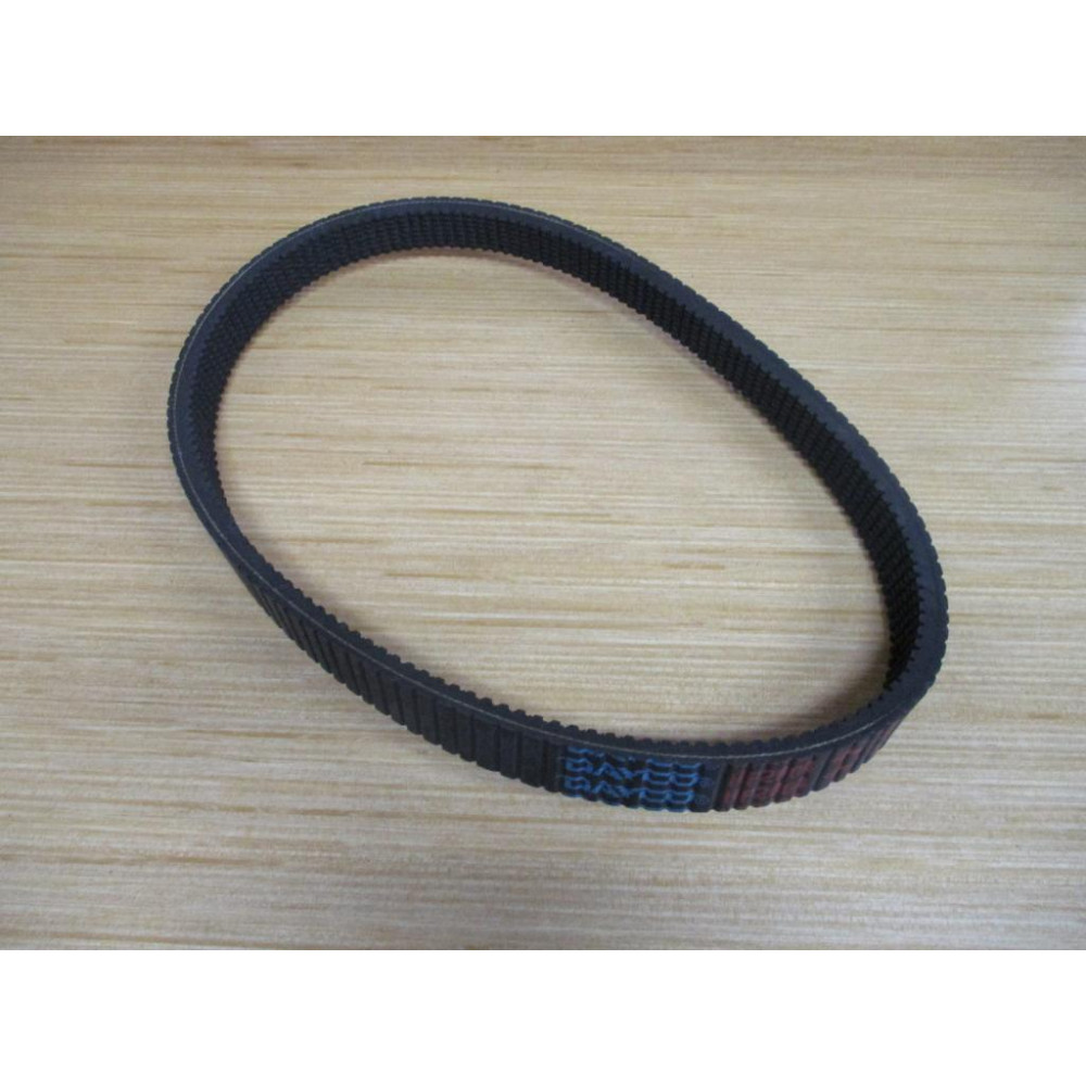 Dayco HP2004 Belt