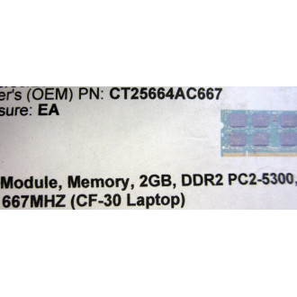 Crucial CT25664AC667 Memory Module CT25664AC667.M16FM
